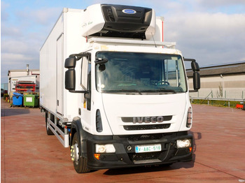 Refrigerator truck IVECO