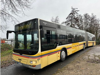 Articulated bus MAN