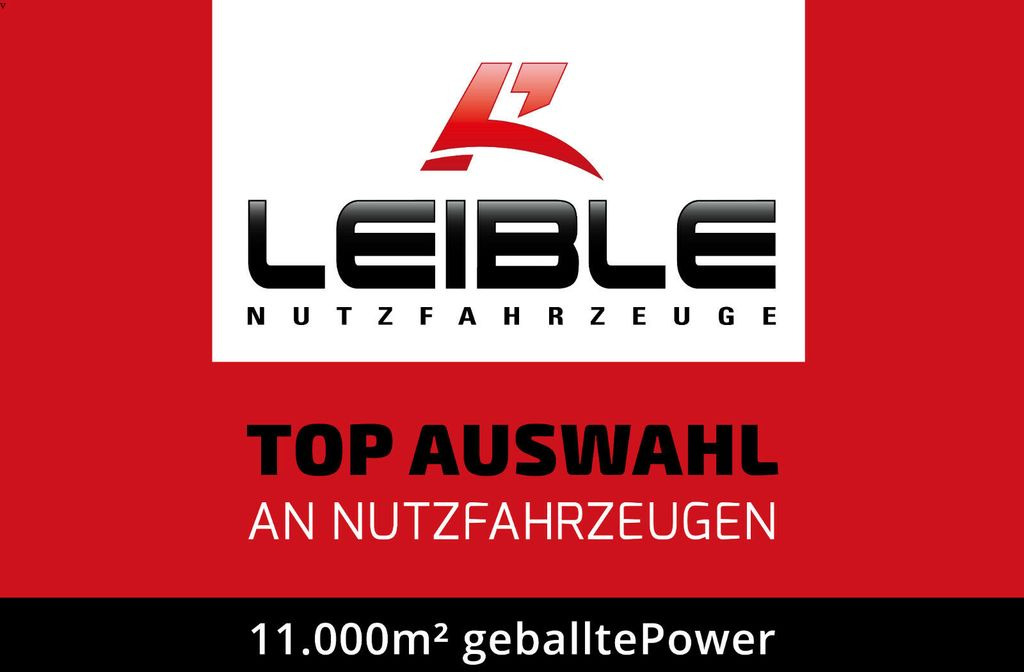 Lease a Berger SAPL24LTCN*Coilmulde*Lenkachse*Alcoa*2,80m innen  Berger SAPL24LTCN*Coilmulde*Lenkachse*Alcoa*2,80m innen: picture 19